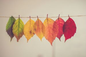 Natural Harmony