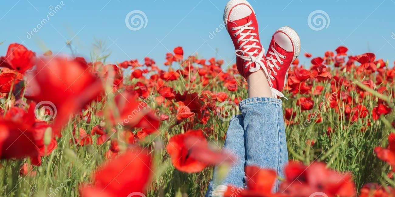 joy-fun-concept-girls-legs-red-sneakers-poppy-field-117953875 joy-fun-concept-girls-legs-red-sneakers-poppy-field-117953875